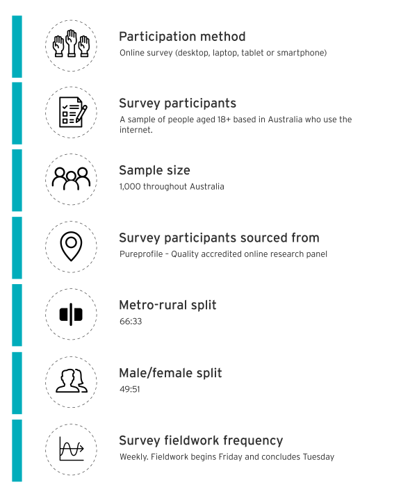 What is a Piggyback Survey?