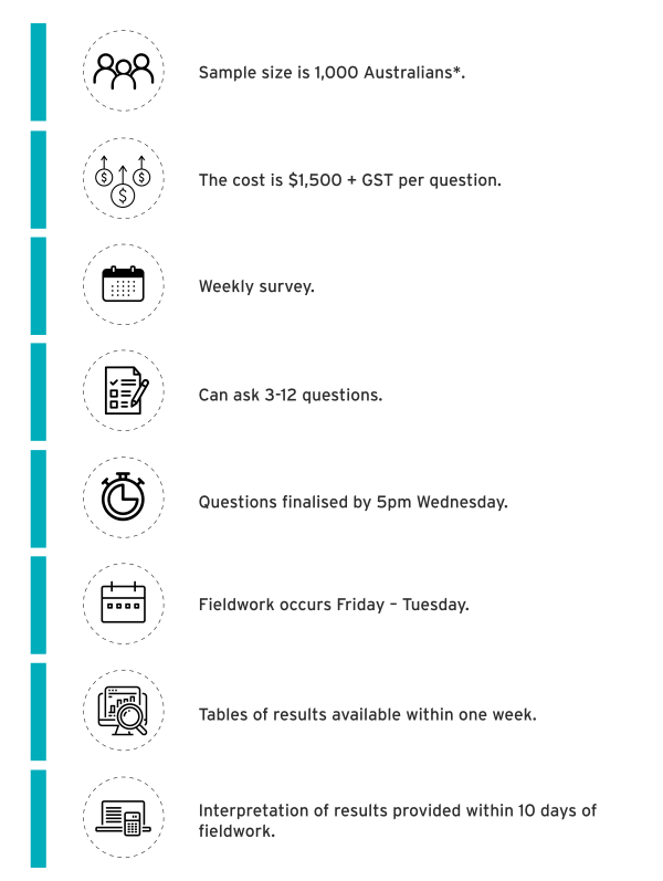 What is a Piggyback Survey?